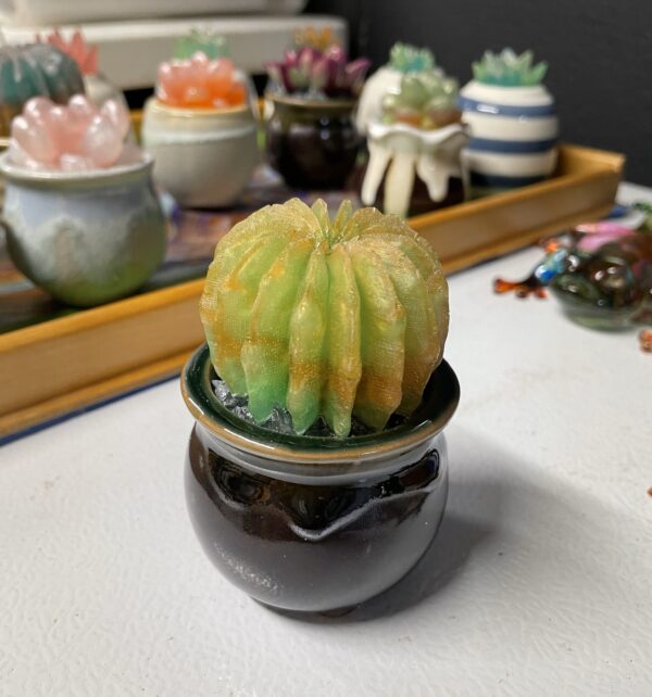 Succulent Pot