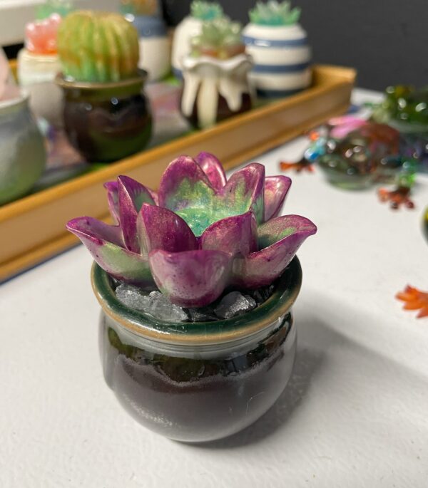 Succulent Pot