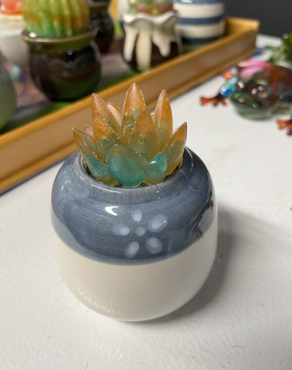 Succulent Pot